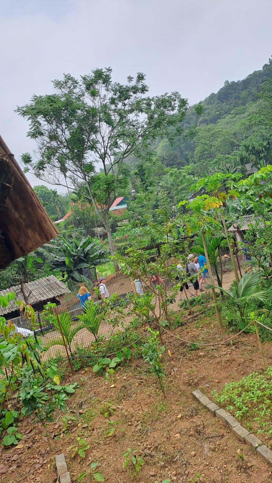 Muong Bi Homestay Hòa Bình Exterior foto
