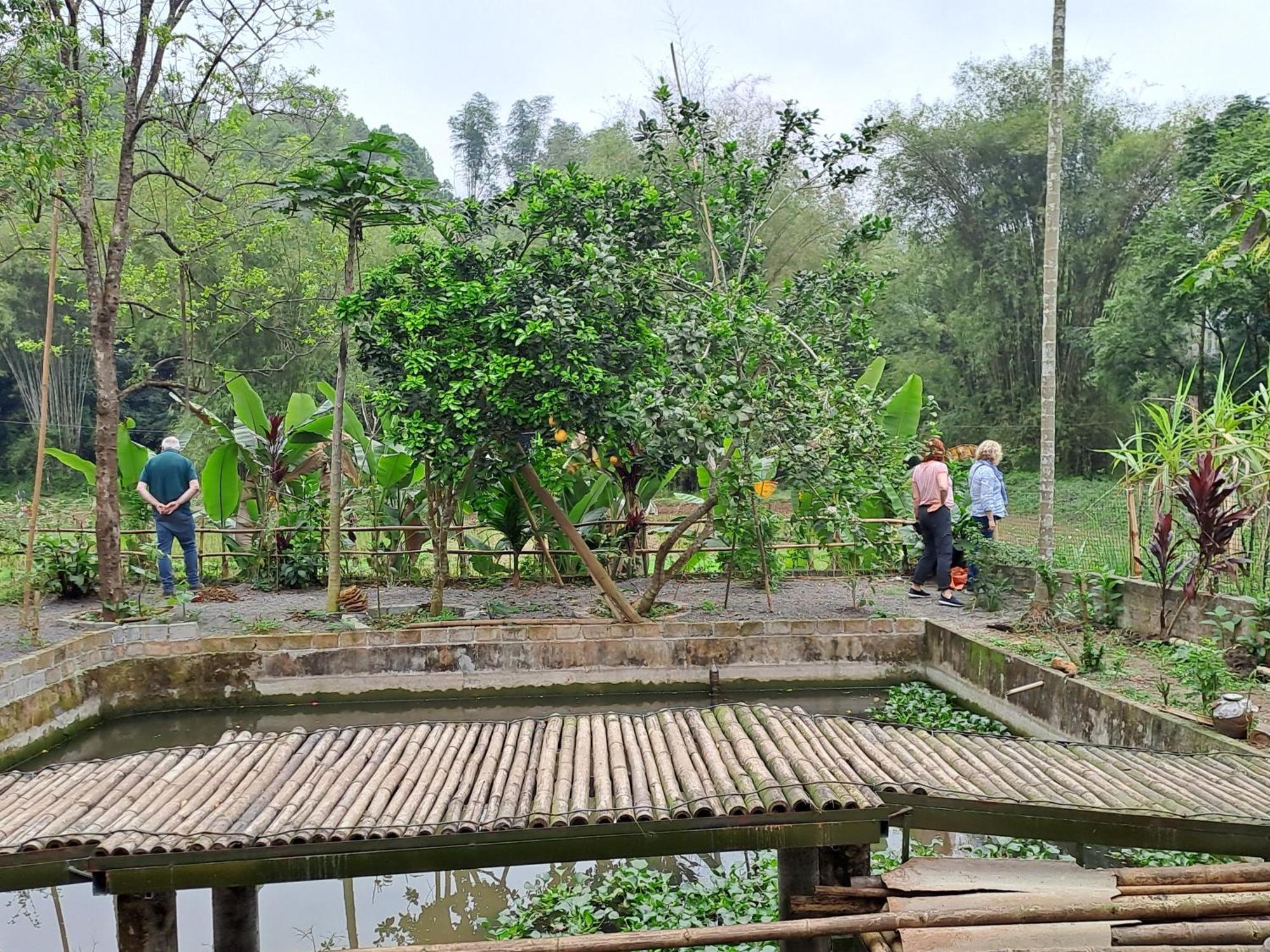 Muong Bi Homestay Hòa Bình Exterior foto